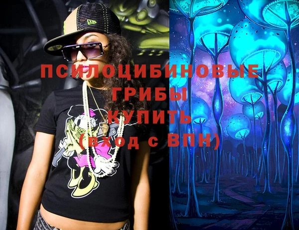 кокс Бородино