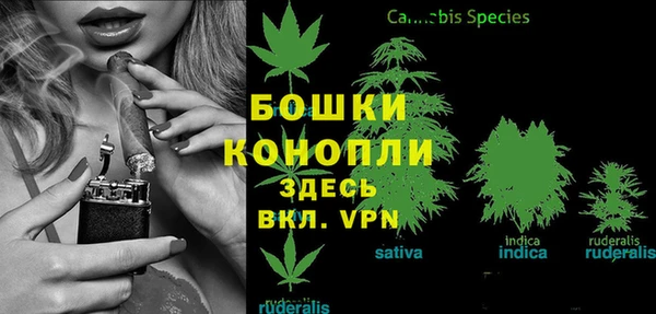 кокс Бородино